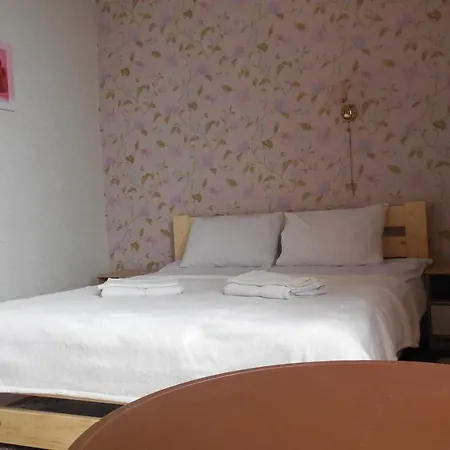 2 Near Opera House Apartman Lviv