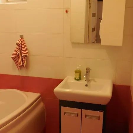 2 Near Opera House Apartman Lviv